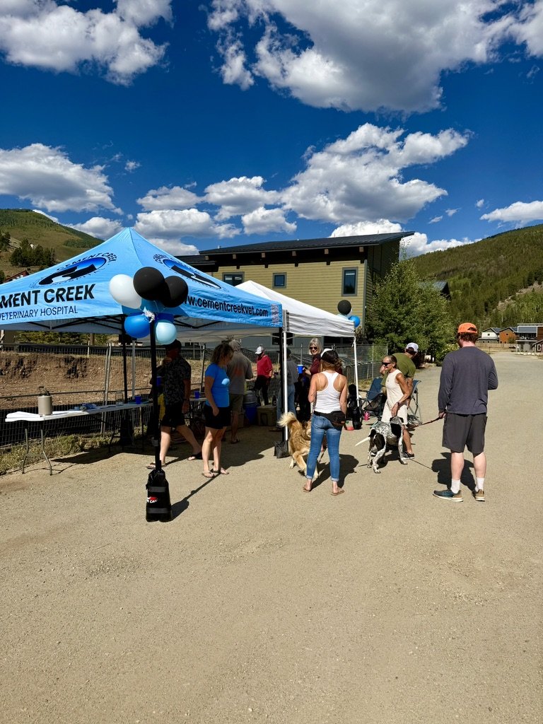 Neighbors and pets gathered at a Cement Creek community event
