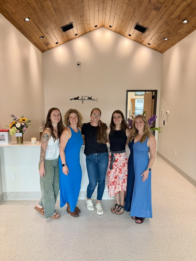 Five of the Cement Creek team together under the wood-paneled vaulted ceiling