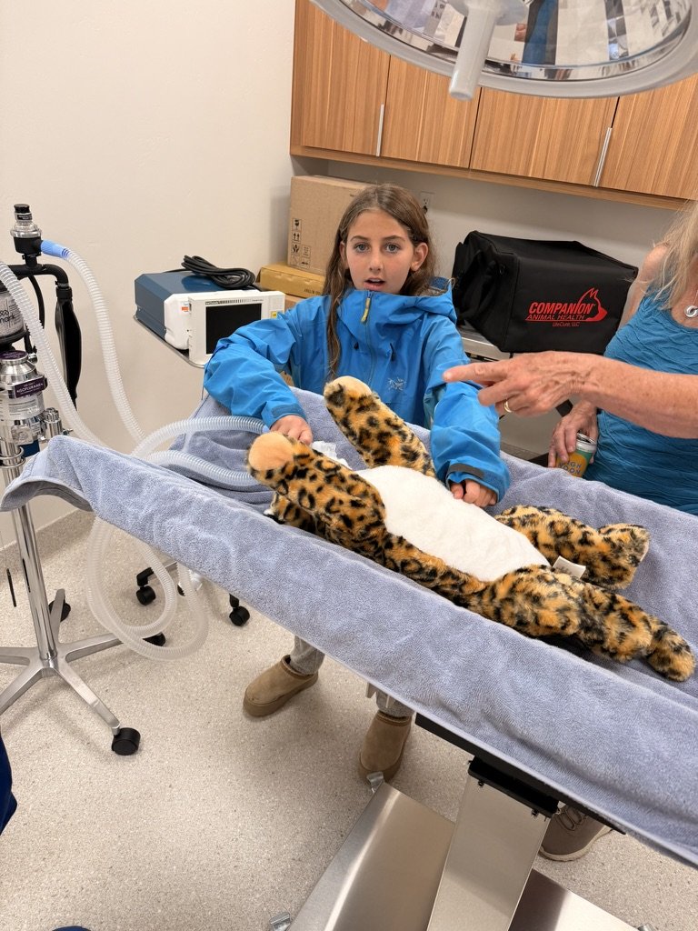 A child sitting with the stuffed leopard on the surgical table while an adult explains