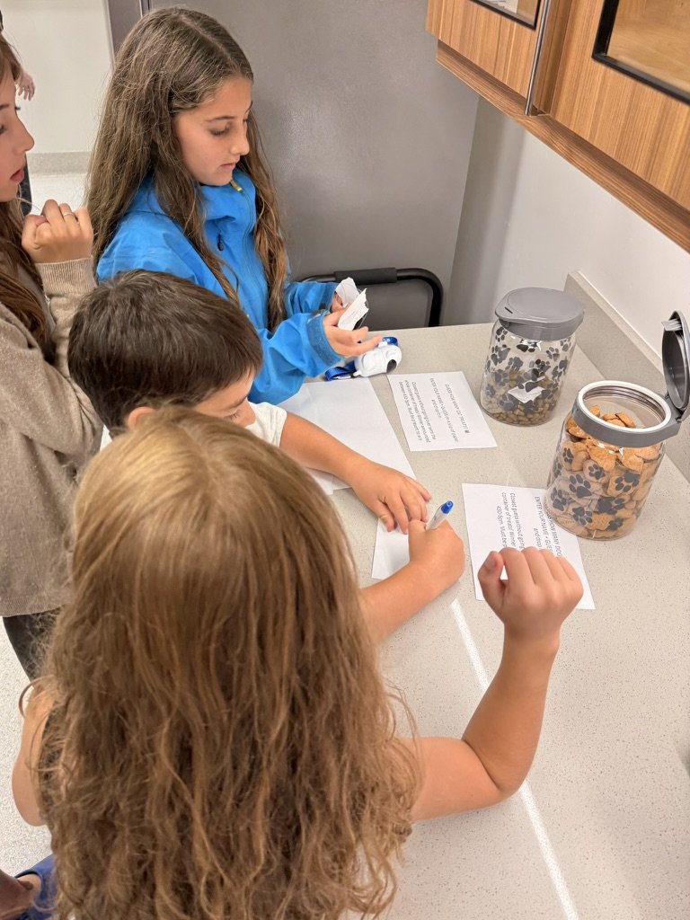Three children filling out raffle entries next to the jars of dog treats